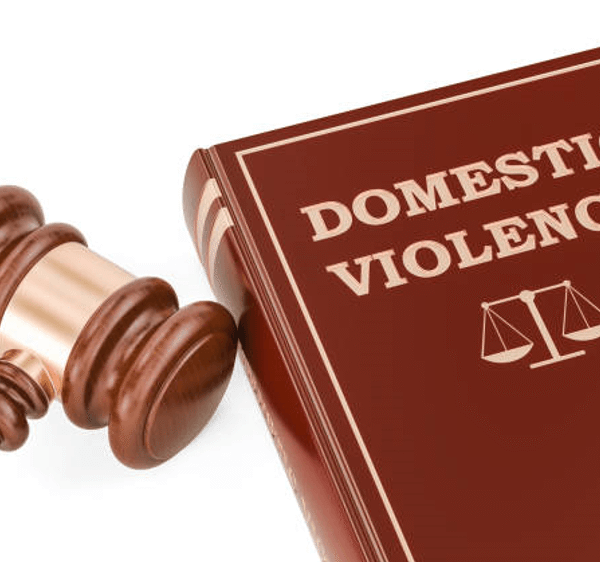 What Evidence Is Needed in Domestic Violence&hellip;