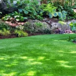 Turf Landscaping Solutions to Enhance Your Property’s Curb Appeal