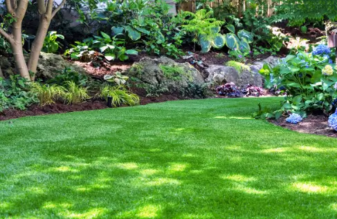 Turf Landscaping Solutions to Enhance Your Property’s Curb Appeal