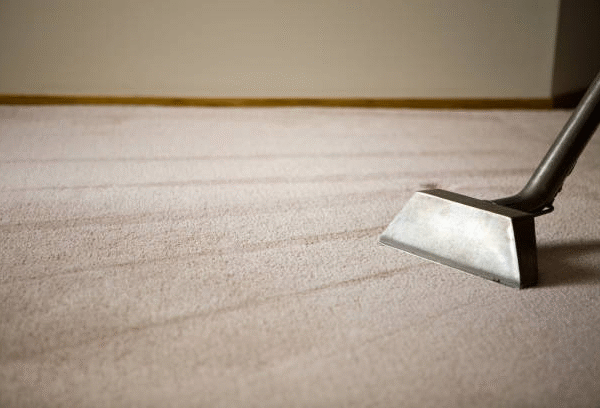The Benefits of Professional Area Rug Cleaning Services for a Healthier Home