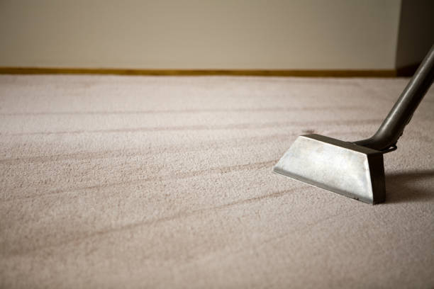 The Benefits of Professional Area Rug Cleaning Services for a Healthier Home