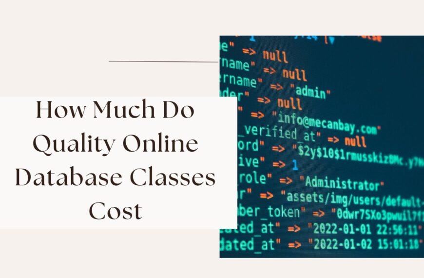 How Much Do Quality Online Database Classes Cost