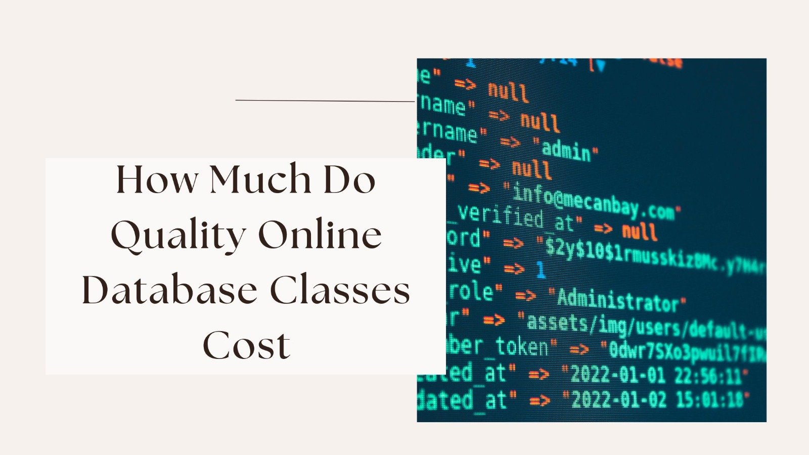 How Much Do Quality Online Database Classes Cost